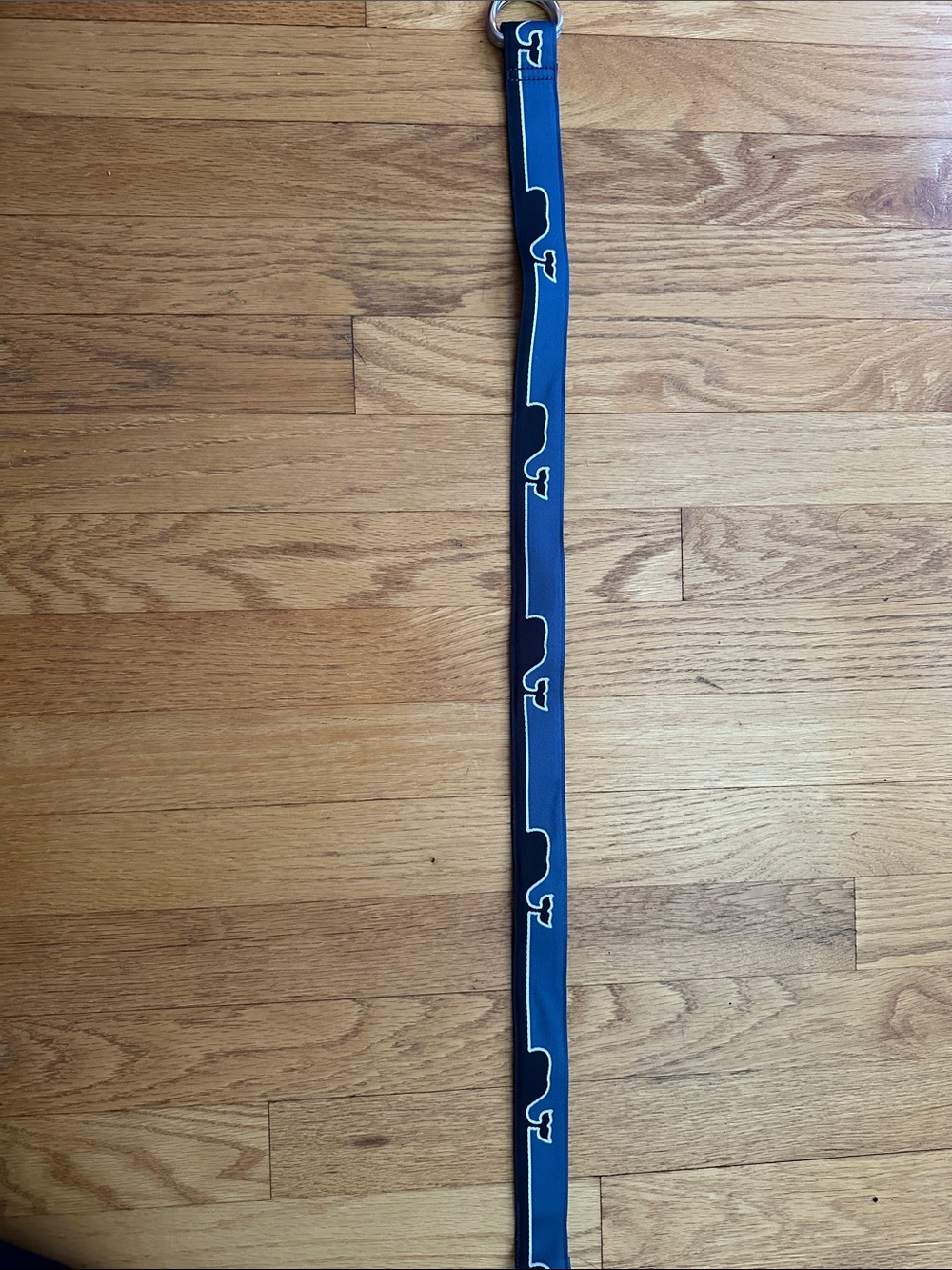 NWOT vineyard vines youth belt